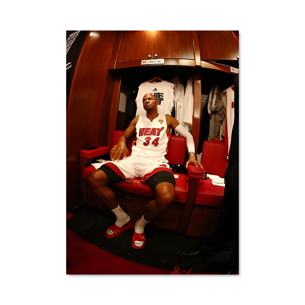 Poster Ray de allen